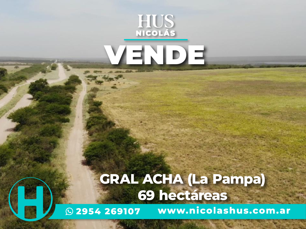 GENERAL ACHA (La Pampa). 69 hectáreas