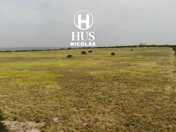 GENERAL ACHA (La Pampa). 69 hectáreas