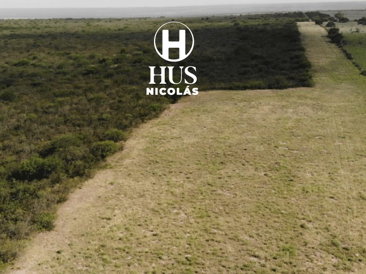 GENERAL ACHA (La Pampa). 69 hectáreas