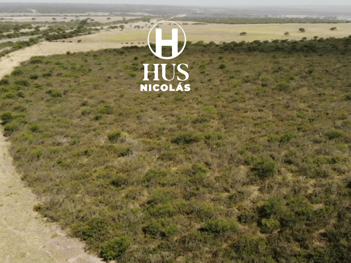 GENERAL ACHA (La Pampa). 69 hectáreas