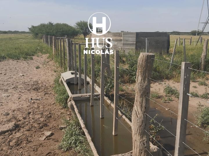 GENERAL ACHA (La Pampa). 69 hectáreas